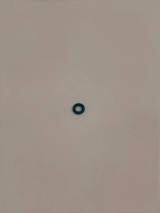 ORING PRZEWODU POWROTNEGO PALIWA 2.2 / 3.2 DURATORQ 8H4Q-9T558-AA 1673574