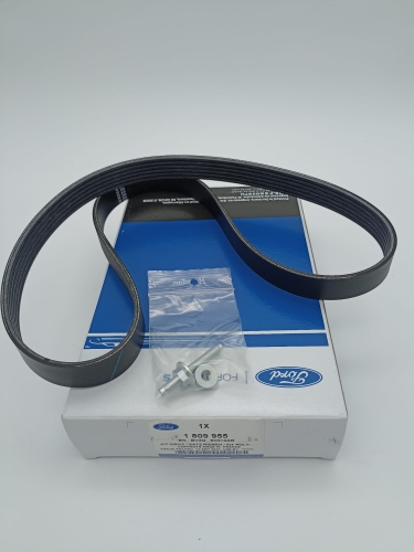 PASEK NAPĘDOWY FIESTA B-MAX 1.6 DOHC EFI 1809955  BV2Q-6D314-AB